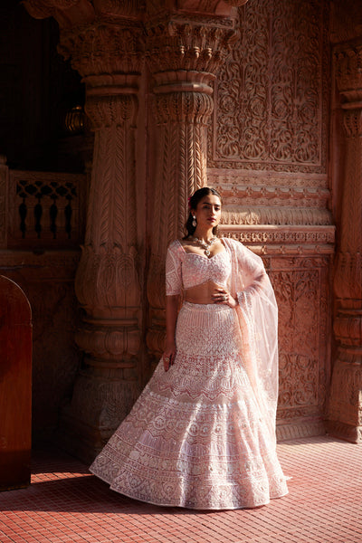 "Arya" Blush Pink And Ivory Resham Kashmiri Embroidered Lehenga Set