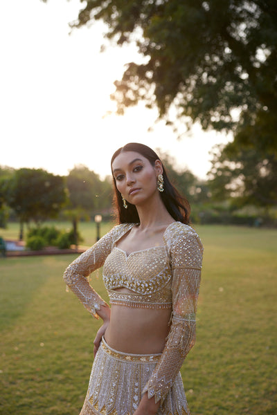 "Tamanna" Sequin Embellished Lehenga Set With Trail Behind